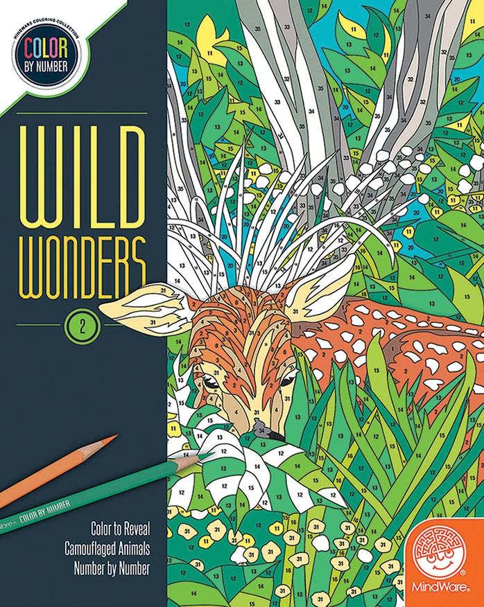 CBN Wild Wonders: Book 2