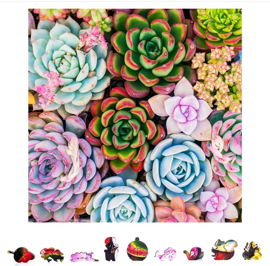 ZenChalet Puzzles - Succulent Sensation Wooden Puzzle, 500 Pcs - SS500