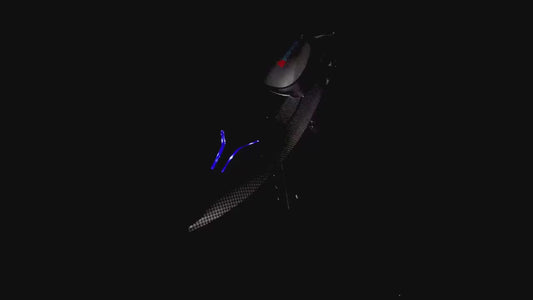 Riptide Racer RC Speed Boat 2.4ghz